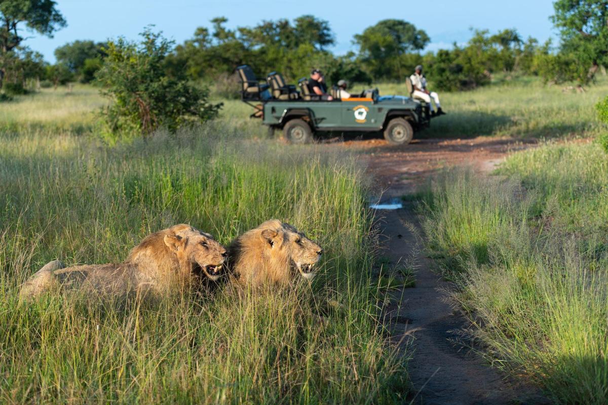 Cedarberg Travel | Kambaku Safari Lodge