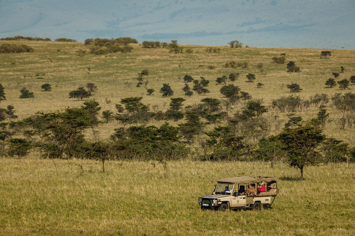 Cedarberg Travel | Porini Lion Camp