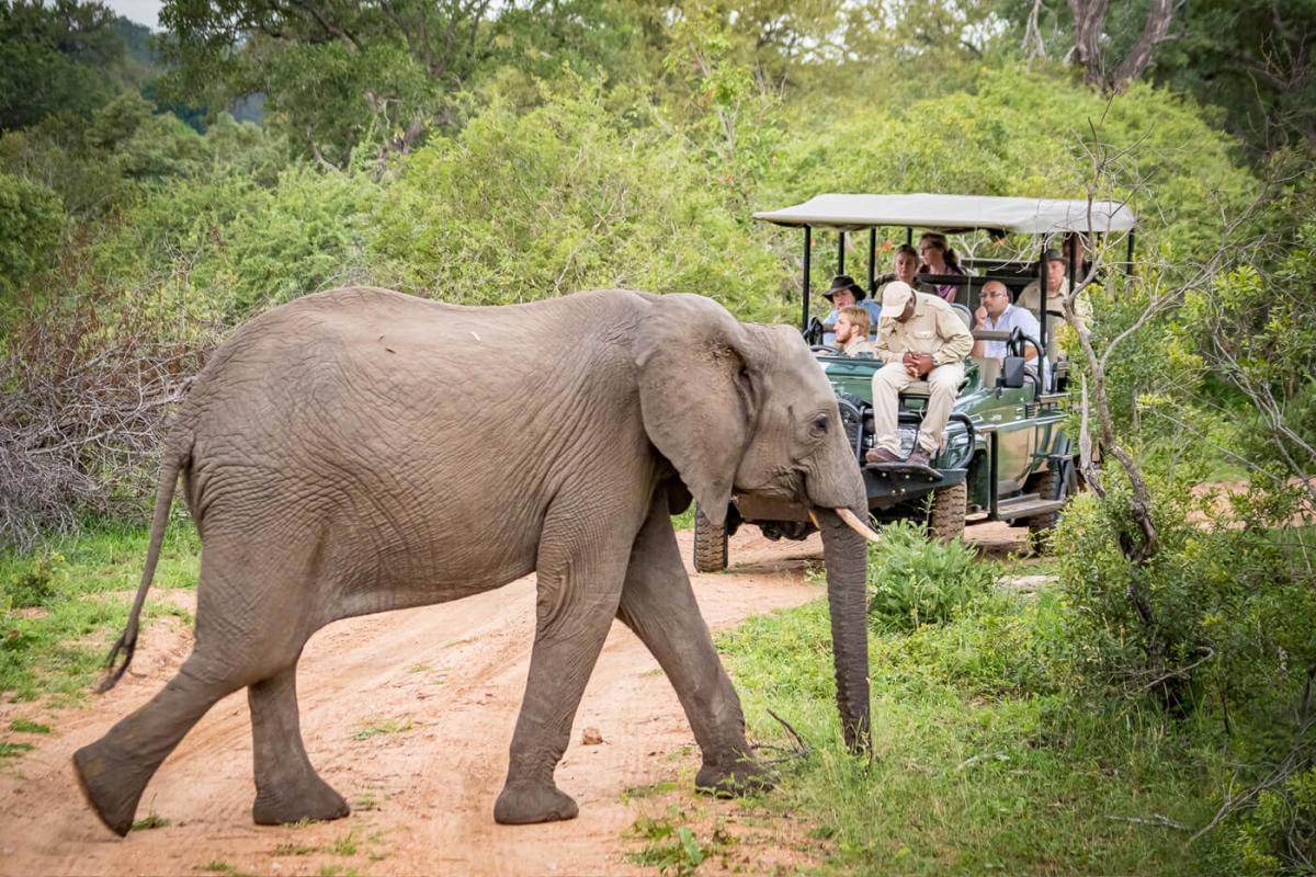 Cedarberg Travel | Oliver's Hotel & Restaurant