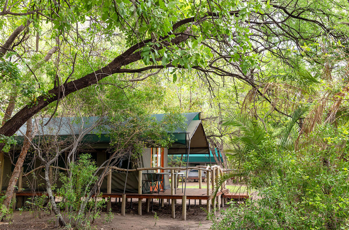 Cedarberg Travel | Ndhovu Safari Lodge