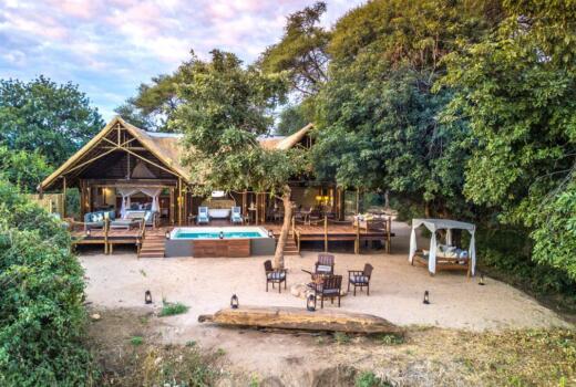Safari Suite 