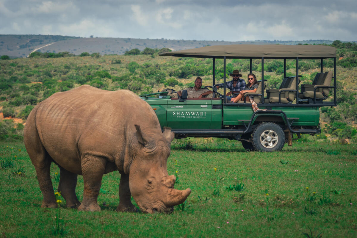 Cedarberg Travel | Bayethe at Shamwari Private Game Reserve