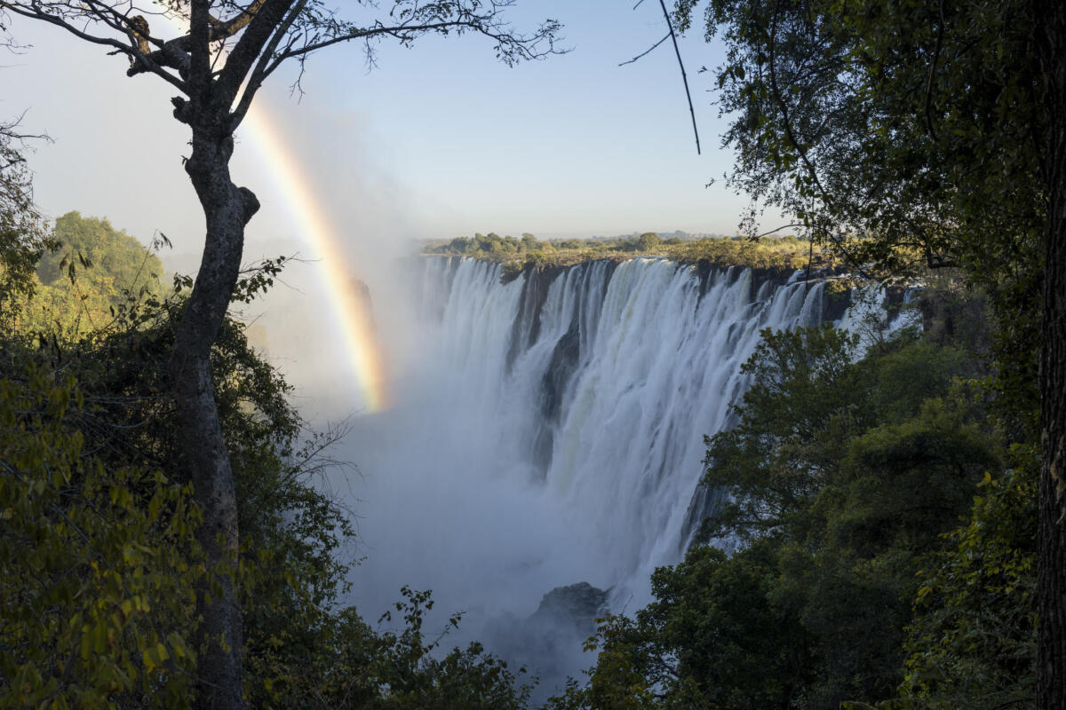 Cedarberg Travel | Tongabezi Lodge