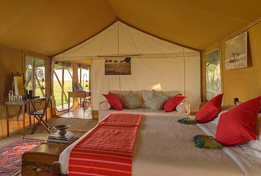 Safari Suite