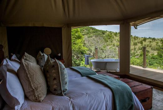Family Tents