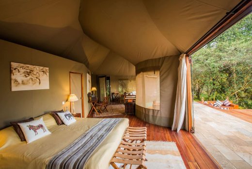 Forest Luxury Tent with a pool (Tent 5)