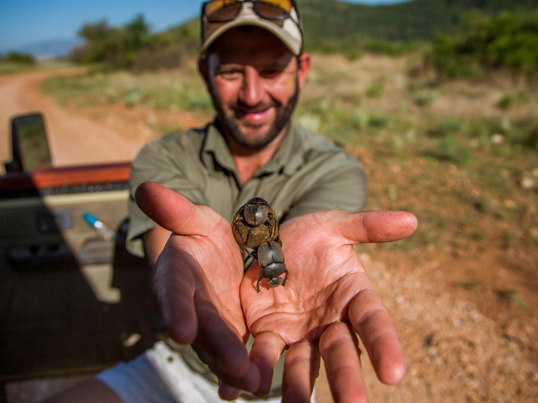 Cedarberg Travel | Nkomazi Game Reserve