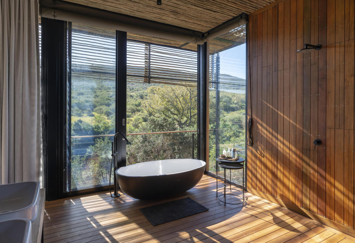Cedarberg Travel | Bayethe at Shamwari Private Game Reserve
