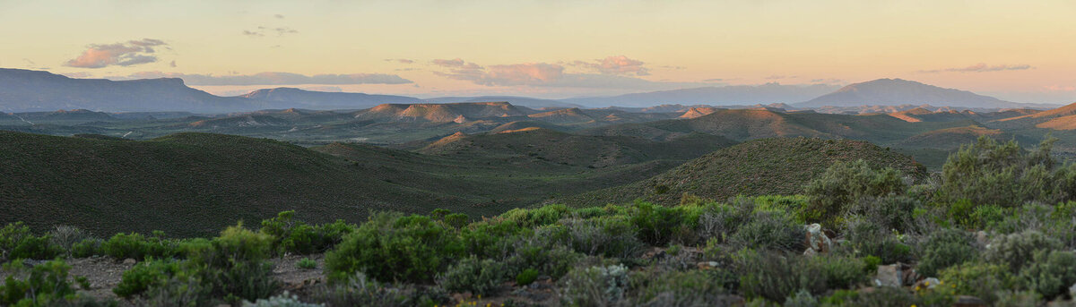 Cedarberg Travel | Tilney Manor at Sanbona