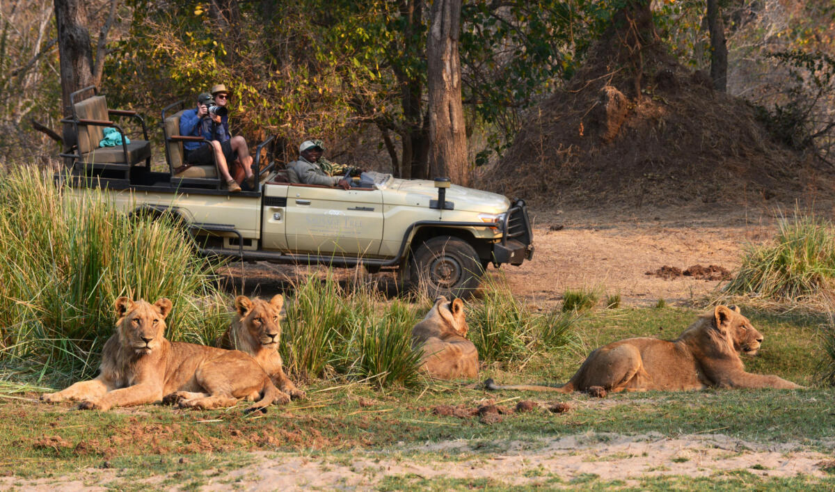 Cedarberg Travel | Sausage Tree Camp