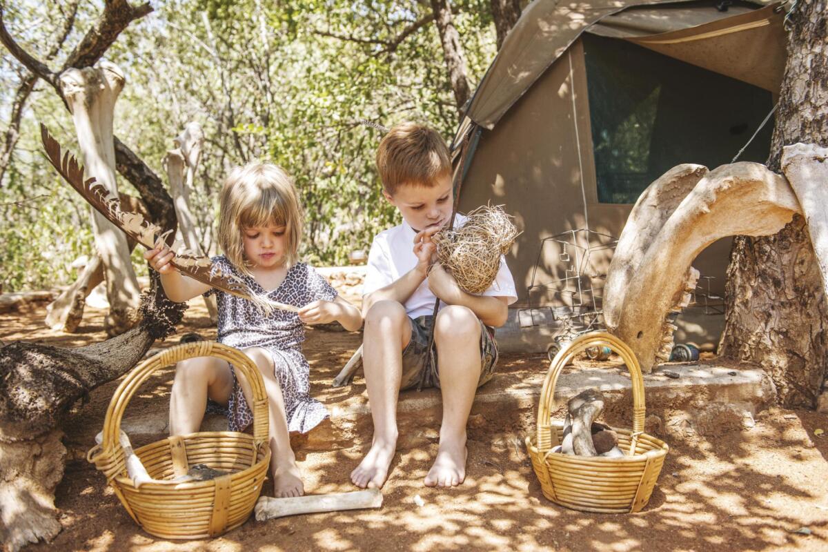 Cedarberg Travel | Tuningi Safari Lodge