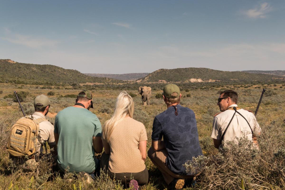 Cedarberg Travel | Sarili at Shamwari Private Game Reserve