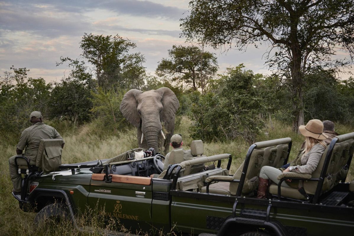 Cedarberg Travel | Malewane Lodge on Royal Malewane