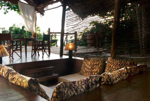 Jungle Suite