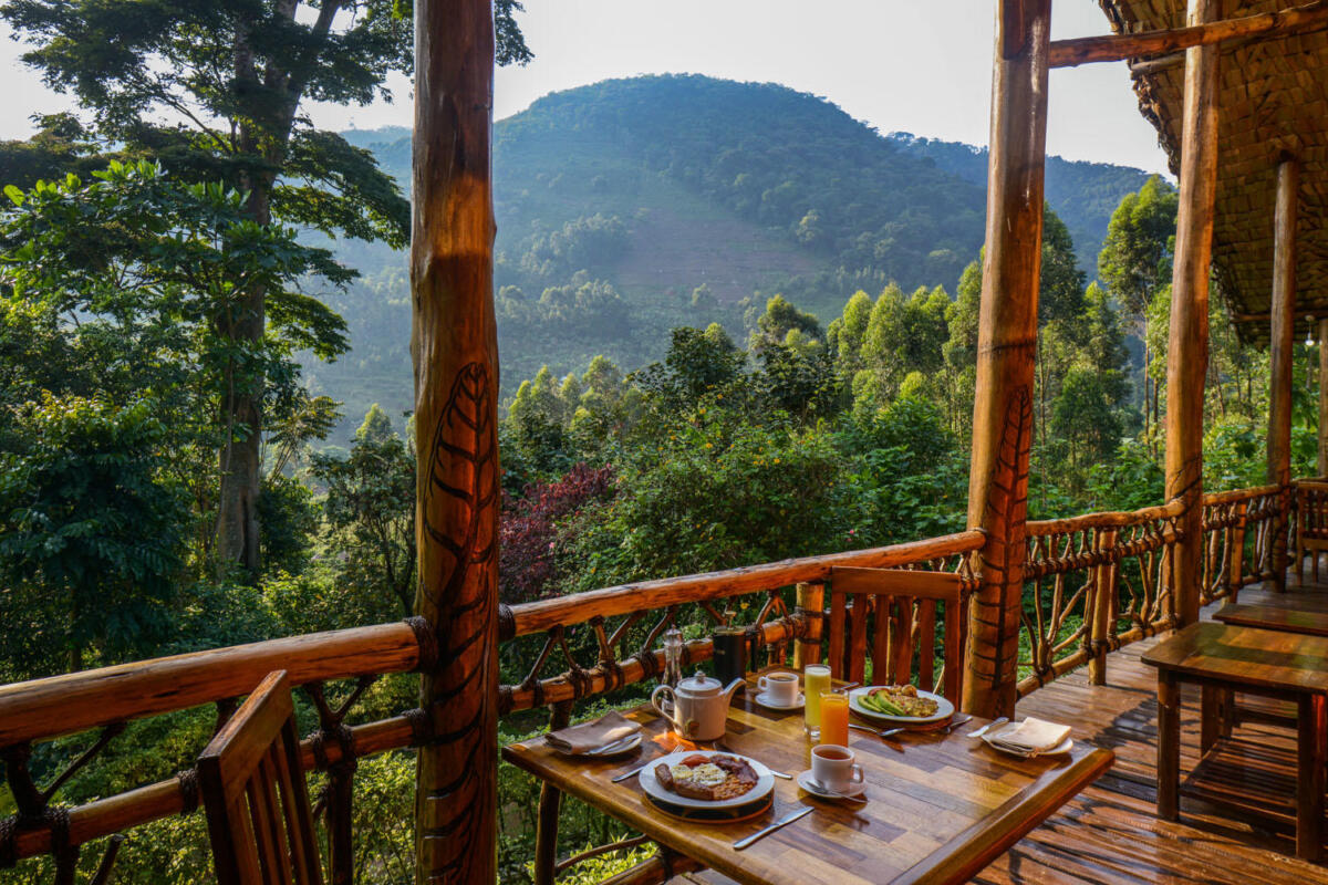 Cedarberg Travel | Mahogany Springs