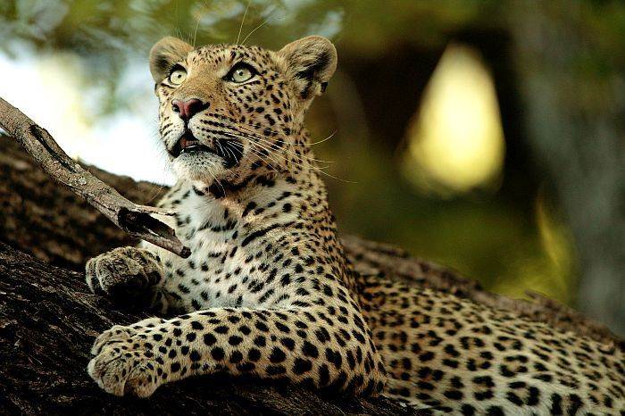 Where to go in Africa in May, June and July