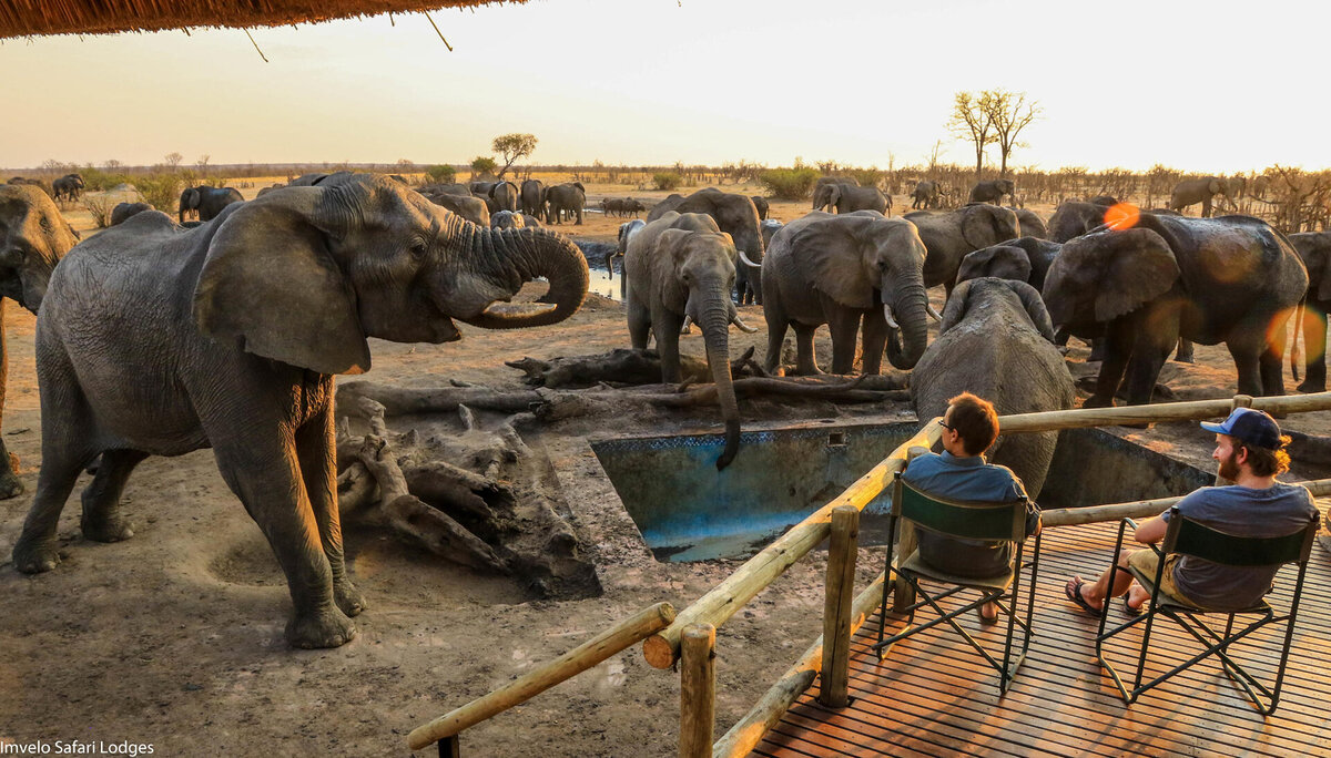 Cedarberg Travel | Nehimba Lodge