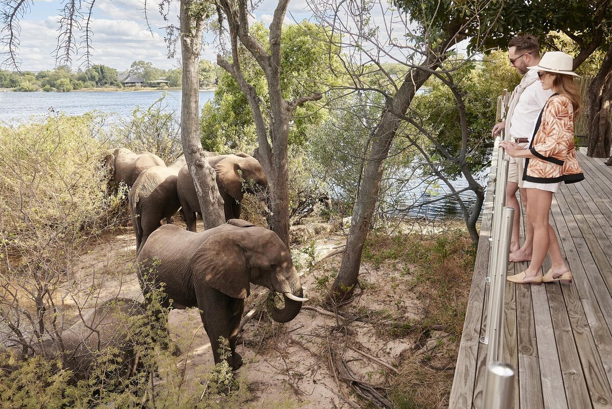 Cedarberg Travel | Victoria Falls River Lodge