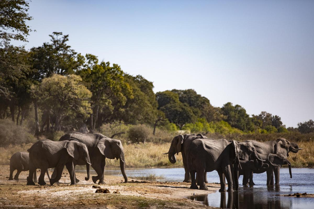 Cedarberg Travel | Wilderness King's Pool Camp