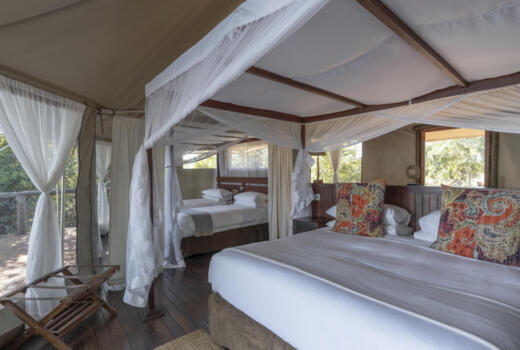 Luxury Family Tent