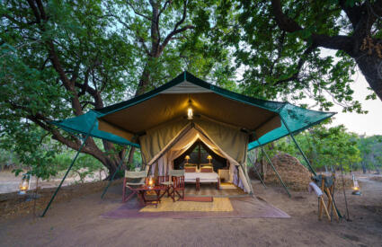John’s Camp
