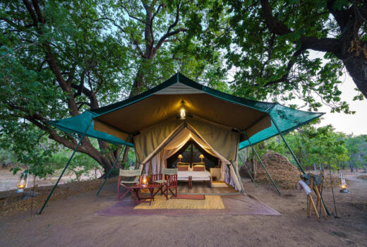 Tent