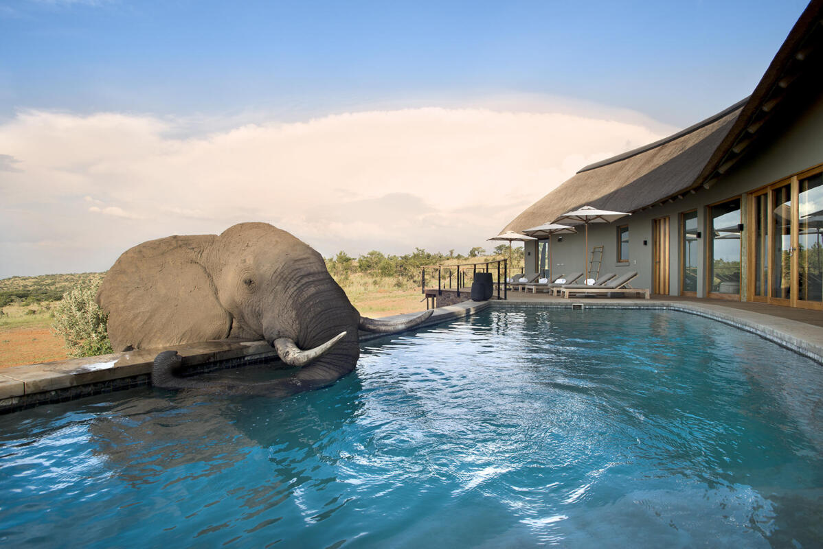 Cedarberg Travel | Welgevonden Safari Getaway