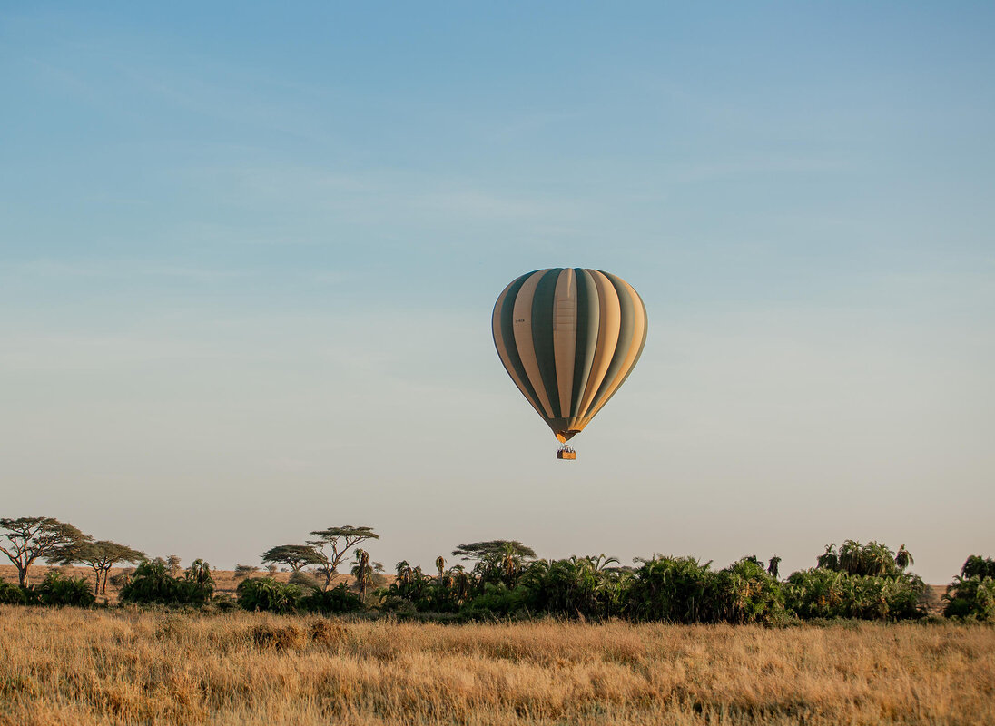 Cedarberg Travel | Nimali Central Serengeti