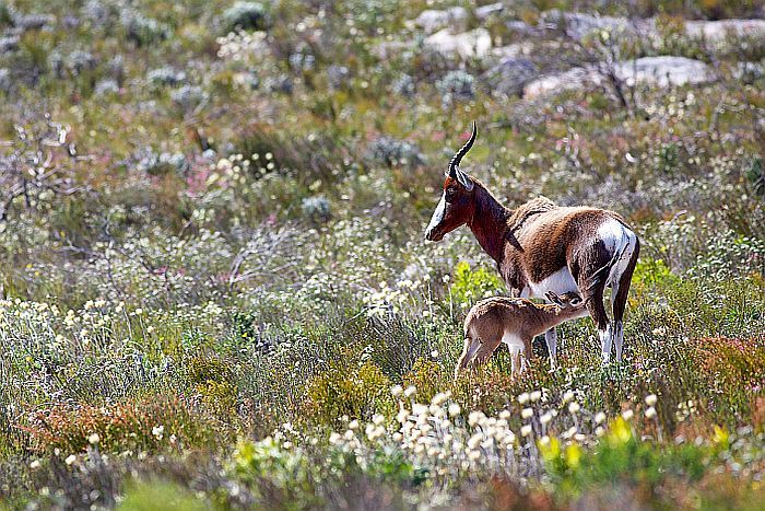 Remote South Africa – 5 Detours for The Road Less Travelled