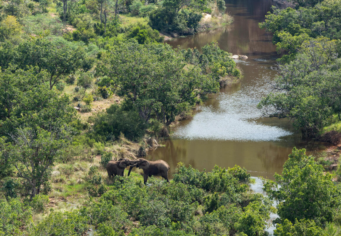 Cedarberg Travel | Clifftop Exclusive Safari Hideaway