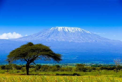 How much does a Tanzania safari cost in 2026?