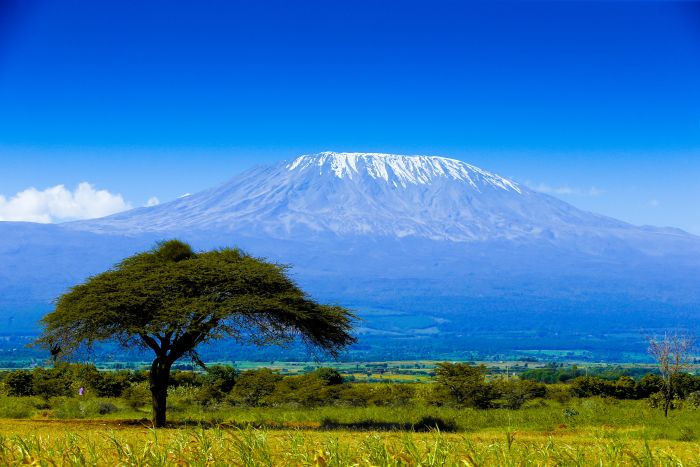 How much does a Tanzania safari cost in 2026?