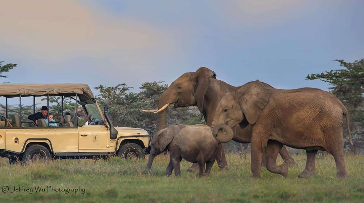 Cedarberg Travel | Porini Rhino Camp