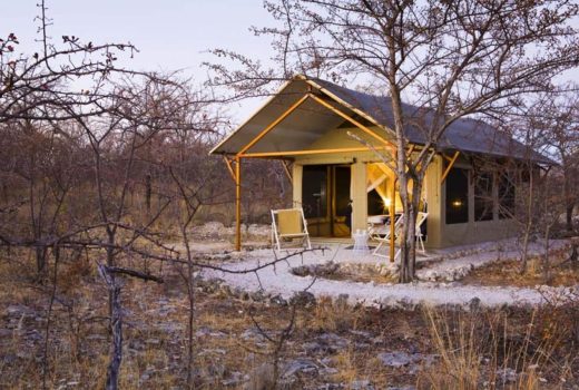 Family Tent