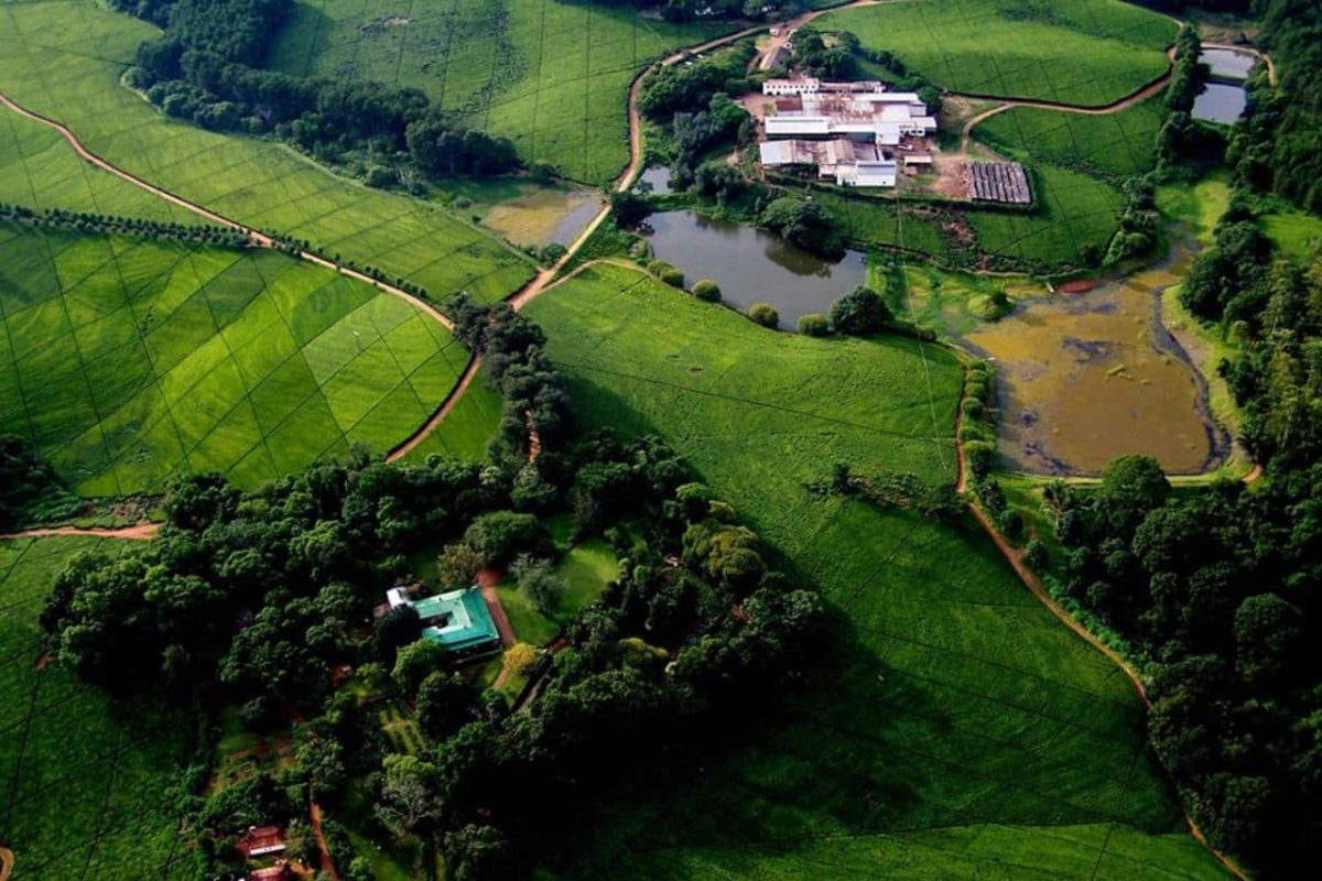 Cedarberg Travel | Huntingdon House