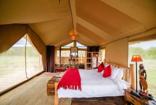 Tent