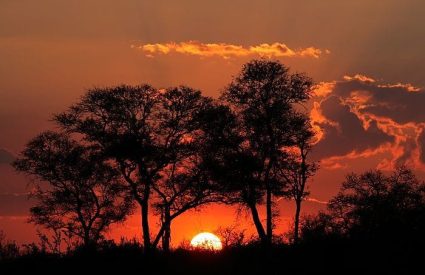 What does a Botswana safari cost in 2026?