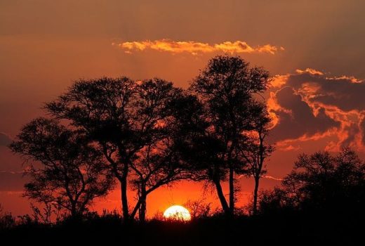 What does a Botswana safari cost in 2026?