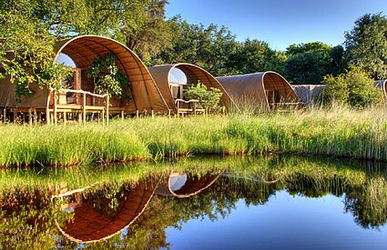 10 Top Tips to Save Money on your African Safari