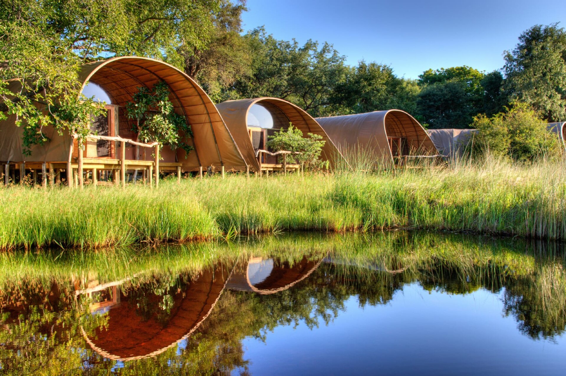 10 Top Tips to Save Money on your African Safari