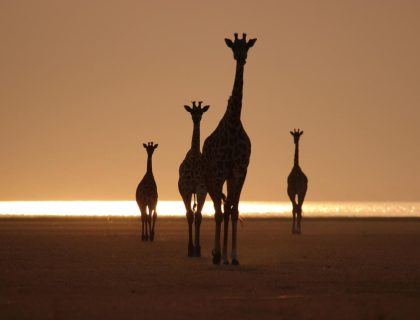 Timeless Tanzania
