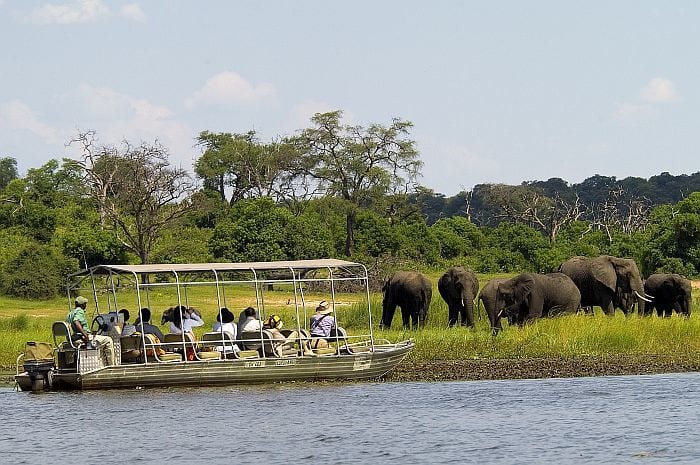 Victoria Falls & Chobe