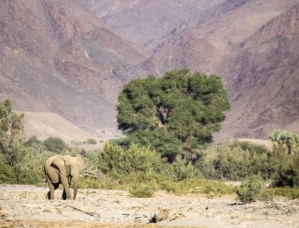 Namibia in Focus Private Guided Tour