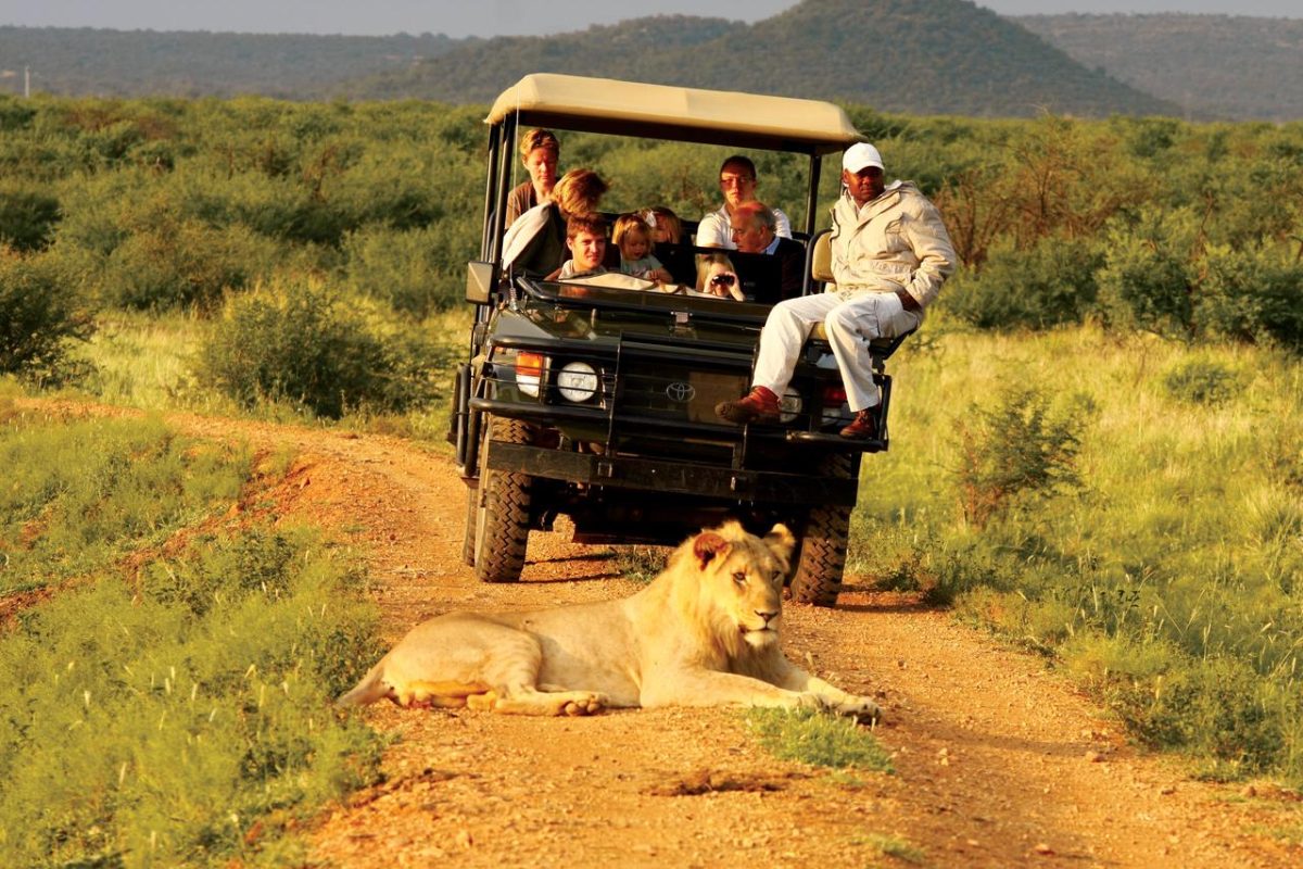 Cedarberg Travel | Madikwe Hills Private Game Lodge