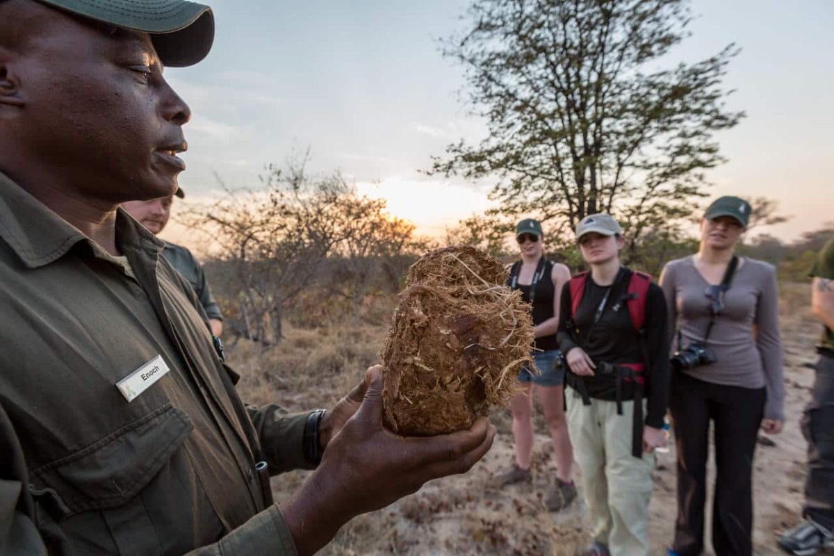 Cedarberg Travel | Africa on Foot Camp
