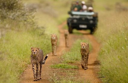 The best time to visit KwaZulu Natal