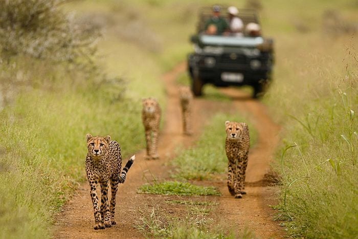 The best time to visit KwaZulu Natal
