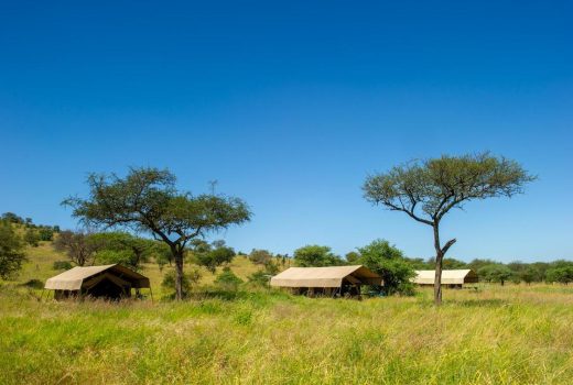 Kati Kati Tented Camp