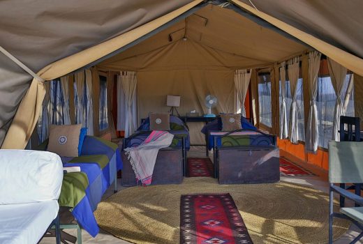 Luxury Tent 