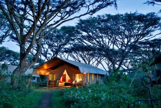 Lemala Ngorongoro Tented Camp